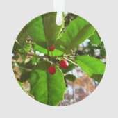 Holly Blätter II Holiday Nature Botanical Ornament (Rückseite)