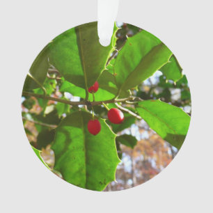 Holly Blätter II Holiday Nature Botanical Ornament
