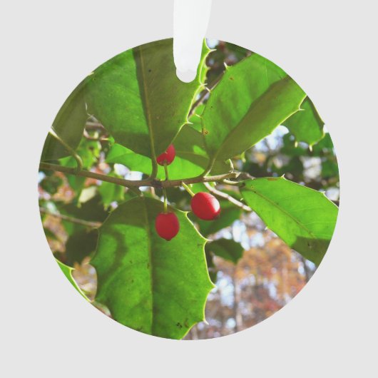 Holly Blätter II Holiday Nature Botanical Ornament (Vorderseite)