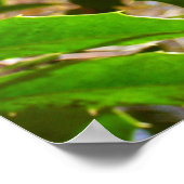 Holly Blätter II Holiday Nature Botanical Poster (Ecke)