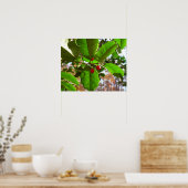 Holly Blätter II Holiday Nature Botanical Poster (Küche)