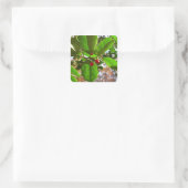 Holly Blätter II Holiday Nature Botanical Quadratischer Aufkleber (Tasche)