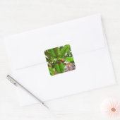 Holly Blätter II Holiday Nature Botanical Quadratischer Aufkleber (Umschlag)