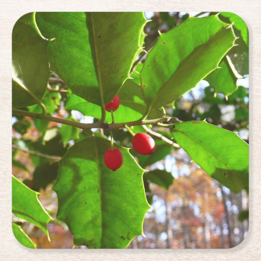 Holly Blätter II Holiday Nature Botanical Rechteckiger Pappuntersetzer (Vorderseite)