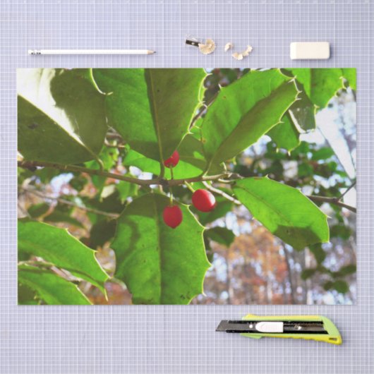 Holly Blätter II Holiday Nature Botanical Seidenpapier (Handwerk)