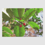 Holly Blätter II Holiday Nature Botanical Seidenpapier (Vorderseite)