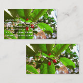 Holly Blätter II Holiday Nature Botanical Visitenkarte (Vorne/Hinten)