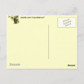 Holly Blätter Postcard Postkarte (Rückseite)