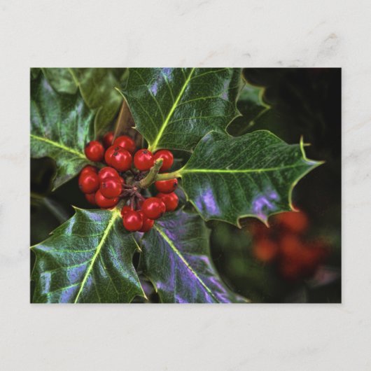 Holly Blätter und Berries Postkarte (Vorderseite)