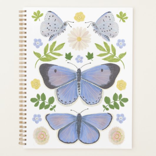 Holly Blue Butterfly Planer (Vorderseite)