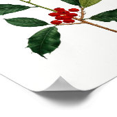 Holly Botanical Print Poster (Ecke)