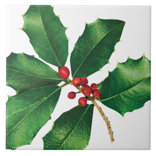 Holly Branch Fliese (Vorderseite)