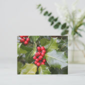 Holly Foto Postkarte (Stehend Vorderseite)