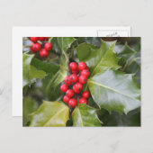 Holly Foto Postkarte (Vorne/Hinten)