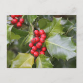 Holly Foto Postkarte (Vorderseite)