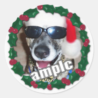 Holly Frame für Ihr Weihnachtsfest Foto! Runder Aufkleber