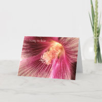 Holly-Hock-Blume-Karte gut rosa
