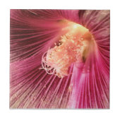 Holly Hock im Abend Sun Fliese (Vorderseite)