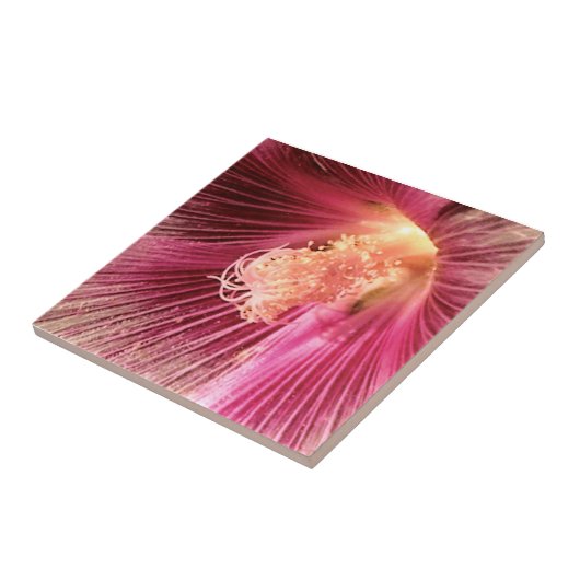 Holly Hock im Abend Sun Fliese (Seite)