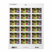 Holly Leaf und Berries Ornament Geschenketiketten Adressaufkleber (Vorne)