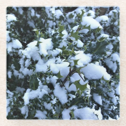 Holly mit Schnee Glasuntersetzer (Vorderseite)