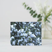 Holly mit Schnee Postkarte (Stehend Vorderseite)