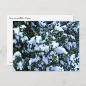 Holly mit Schnee Postkarte (Vorne/Hinten)
