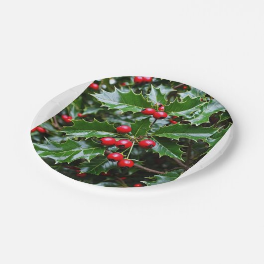 Holly Paper Tellers Pappteller (Schrägansicht)