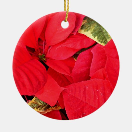 Holly Point Poinsettias Holiday Floral Keramikornament (Vorne)