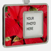 Holly Point Poinsettias Holiday Floral Rahmen-Ornament Silber (Rechts)
