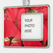 Holly Point Poinsettias Holiday Floral Rahmen-Ornament Silber (Links)