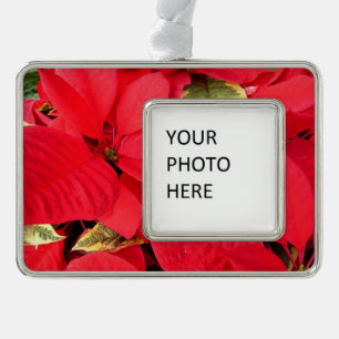 Holly Point Poinsettias Holiday Floral Rahmen-Ornament Silber