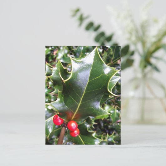 Holly Postcard Postkarte (Stehend Vorderseite)