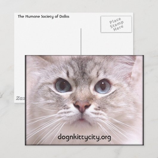 Holly Postcard Postkarte (Vorne/Hinten)