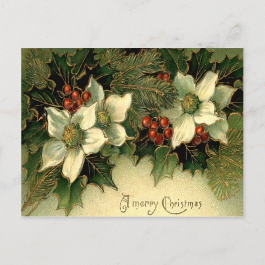 Holly Postkarte (Vorderseite)