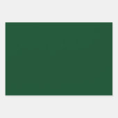 Holly Red und Evergreen Winter Solids Geschenkpapier Set (Vorderseite 3)
