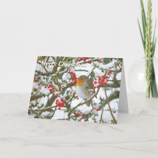 Holly & Robin Weihnachtskarte Feiertagskarte (Vorderseite)