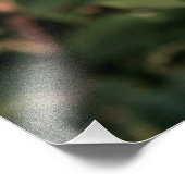 Holly Shrub Fotodruck (Ecke)