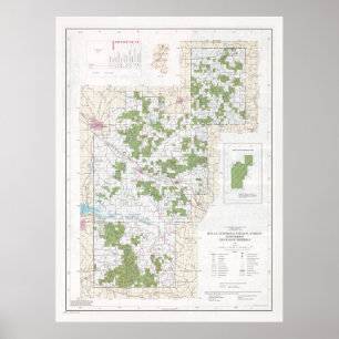Holly Springs National Forest Map (1991) Poster
