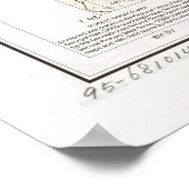 Holly Springs National Forest Map (1991) Poster (Ecke)