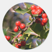 Holly Stickers (Vorderseite)