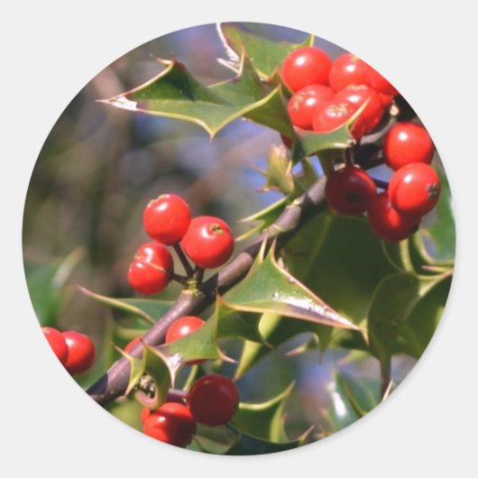 Holly Stickers (Vorderseite)