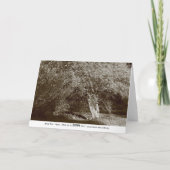 Holly Tree - Sepia Karte (Rückseite)