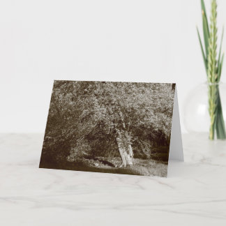 Holly Tree - Sepia Karte