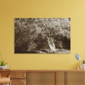 Holly Tree - Sepia Leinwanddruck (Insitu (Wohnzimmer))