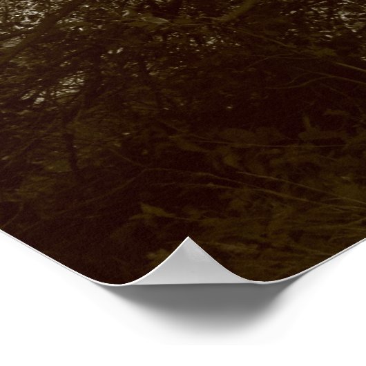 Holly Tree - Sepia Poster (Ecke)