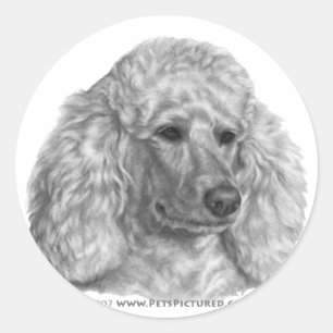 Holly, White Poodle Runder Aufkleber
