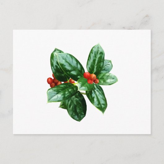 Holly with Berries Postkarte (Vorderseite)