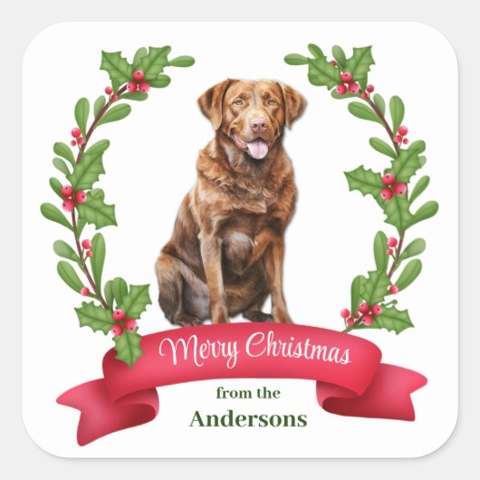 Holly Wreath Chesapeake Bay Retriever Dog Quadratischer Aufkleber (Vorderseite)