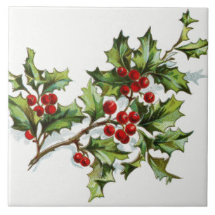 HollyBerries20150801 Fliese